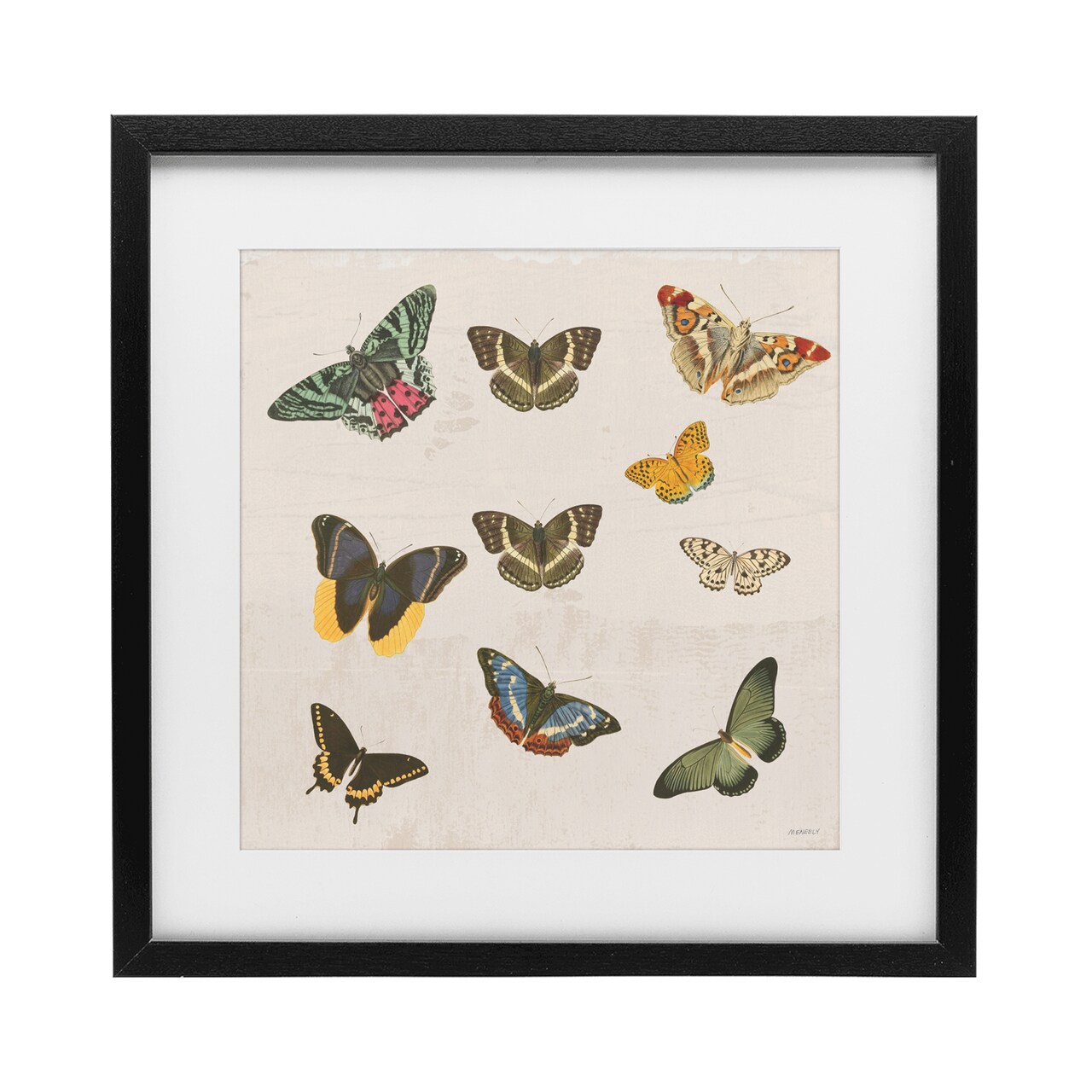 Stupell Industries Antique Butterfly Flight Framed Print Under Glass, design by Dan Meneely